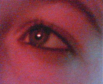 l oeil a dolphine