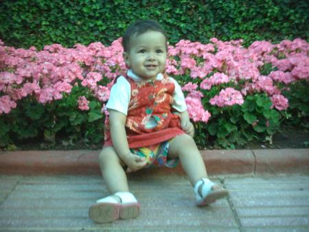 hiba