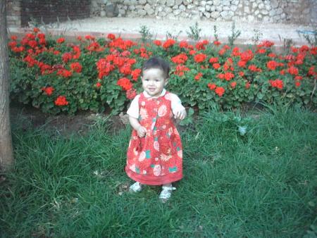 hiba