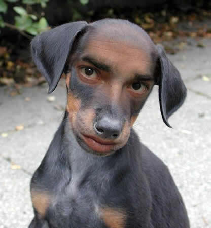 goerge bush