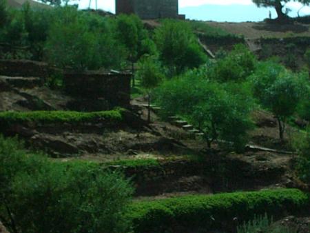 un jardin